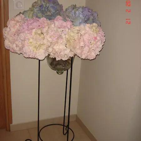 D'hotes La Des Hortensias Berck