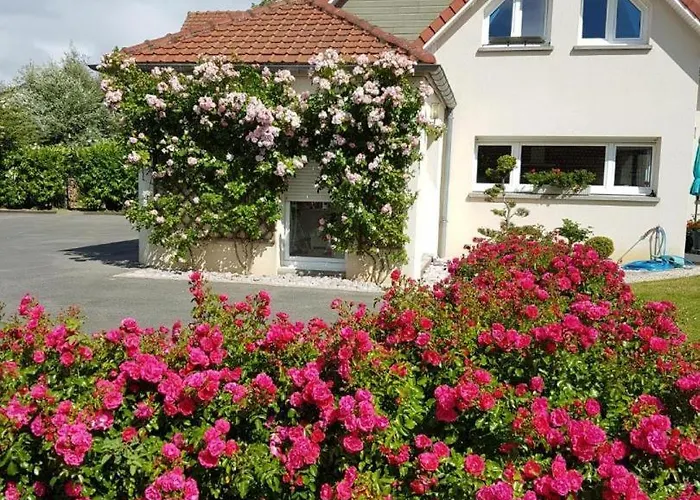 Couette-café D'hôtes La Des Hortensias Berck